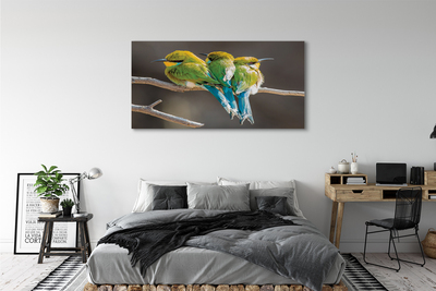 Obraz na płótnie Ptaki na gałęzi