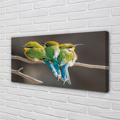 Zdjęcie na płótnie Dwa Ptaki na Gałęzi