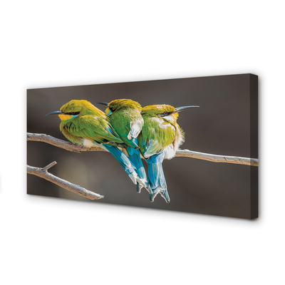 Zdjęcie na płótnie Dwa Ptaki na Gałęzi