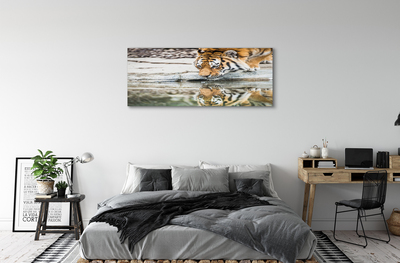 Obraz na płótnie Pijący tygrys