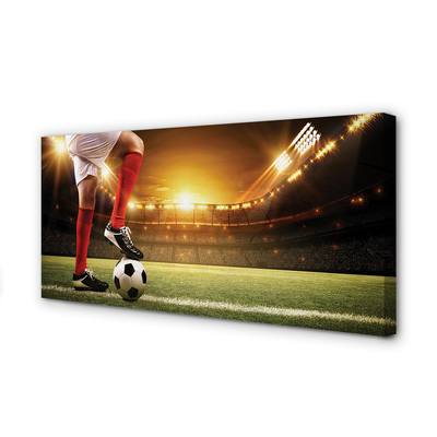 Zdjęcie na płótnie Kontrola Piłki Na Stadionie