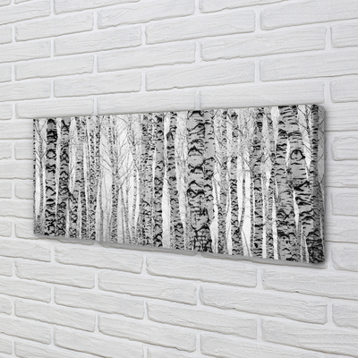 Fotoobraz na płótnie Czarno-Biały Las Brzozowy