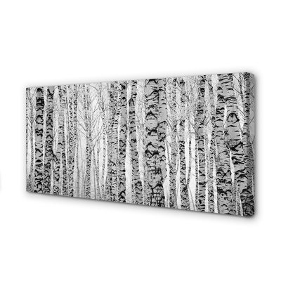 Fotoobraz na płótnie Czarno-Biały Las Brzozowy