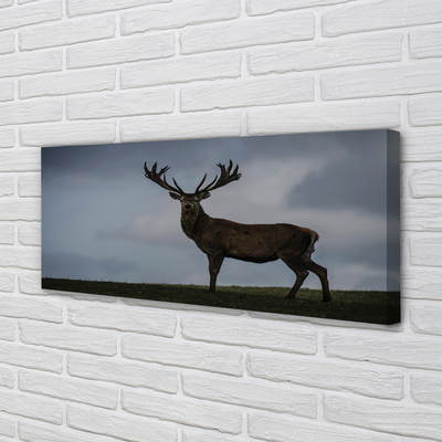 Obraz canvas na ścianę Nocne Spotkanie z Jeleniem