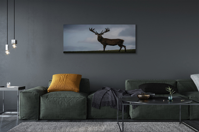 Obraz canvas na ścianę Nocne Spotkanie z Jeleniem