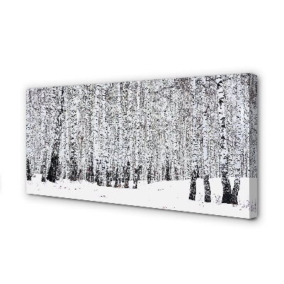 Obraz na płótnie Drzewa zima śnieg brzozy
