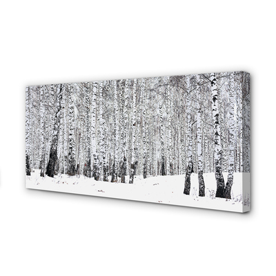 Obraz na płótnie Drzewa zima śnieg brzozy