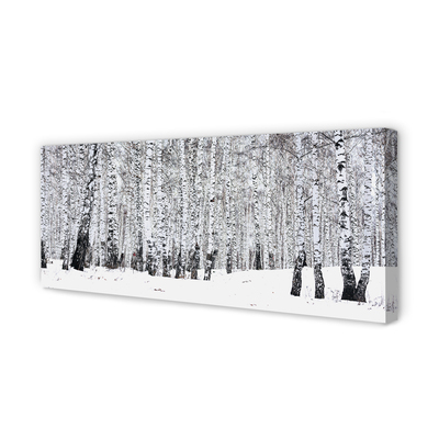 Fotoobraz na płótnie Zimowy Krajobraz z Brzozami
