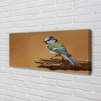 Zdjęcie na płótnie Portret Ptaka