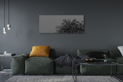 Fotoobraz na płótnie Uniwersalny Język Muzyki