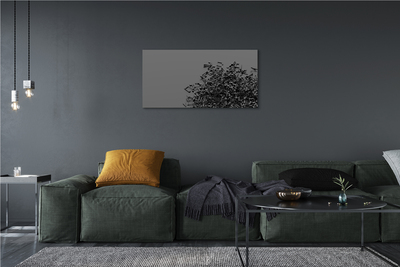 Fotoobraz na płótnie Uniwersalny Język Muzyki