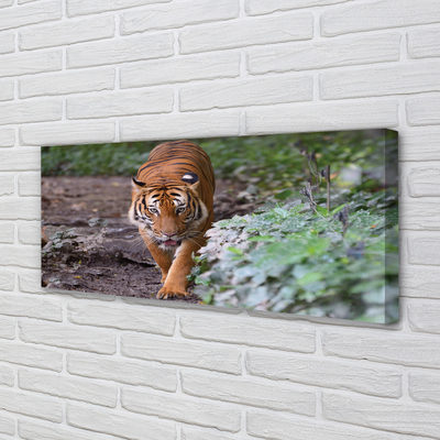 Duży obraz na płótnie Tygrys w Naturalnym Środowisku