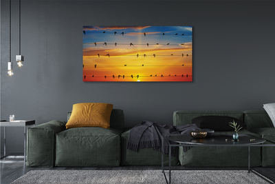 Zdjęcie na płótnie Ptaki na Linach o Zmierzchu