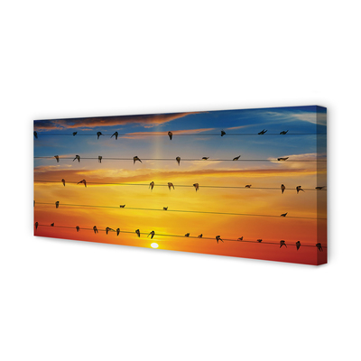 Obraz na płótnie Ptaki na linach zachód słońca