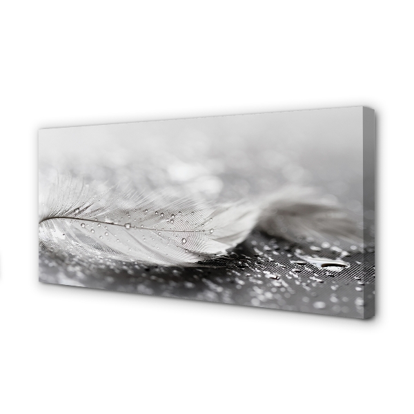 Obraz canvas na ścianę Delikatne Krople na Piórku