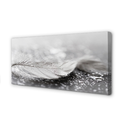 Obraz canvas na ścianę Delikatne Krople na Piórku