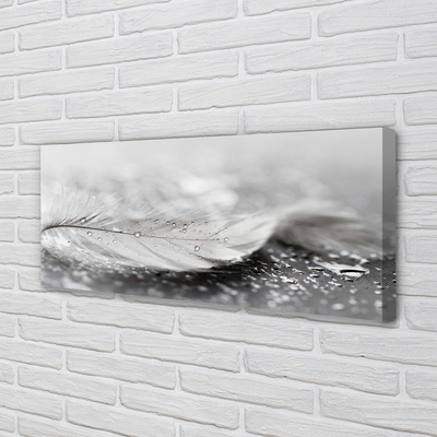 Obraz canvas na ścianę Delikatne Krople na Piórku