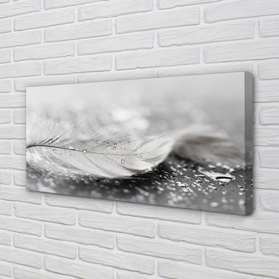Obraz canvas na ścianę Delikatne Krople na Piórku