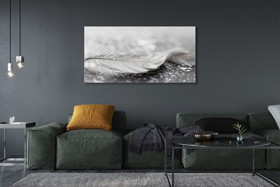 Obraz canvas na ścianę Delikatne Krople na Piórku