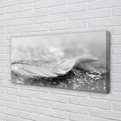 Obraz canvas na ścianę Delikatne Krople na Piórku