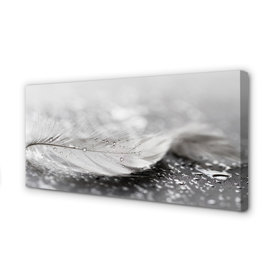 Obraz canvas na ścianę Delikatne Krople na Piórku
