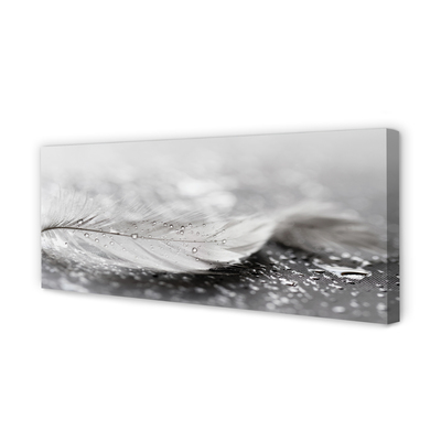 Obraz canvas na ścianę Delikatne Krople na Piórku