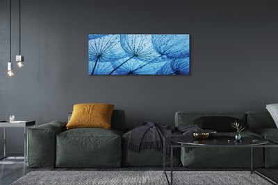 Obraz drukowany na płótnie Puszyste Dmuchawce z Rosą