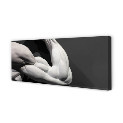 Zdjęcie na płótnie Siła i Rzeźba Mięśni