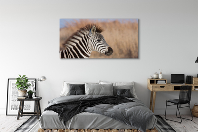 Fotoobraz na płótnie Zebra na Tle Natury