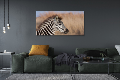 Fotoobraz na płótnie Zebra na Tle Natury