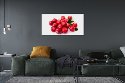 Fotoobraz na płótnie Dojrzałe Zielone Awokado