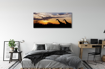 Obraz na płótnie Żyrafy drzewa chmury