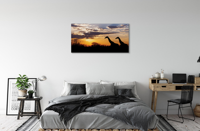 Obraz na płótnie Żyrafy drzewa chmury