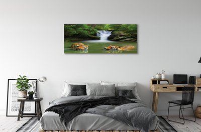 Obraz na płótnie Wodospad tygrysy