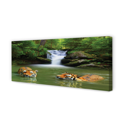Duży obraz na płótnie Tygrysy przy Wodospadzie