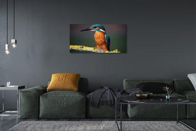 Obraz na płótnie Kolorowy ptak na gałęzi