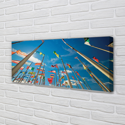 Obraz drukowany na płótnie Różnorodne Flagi