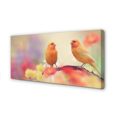 Obraz canvas na ścianę Stado Kolorowych Papug