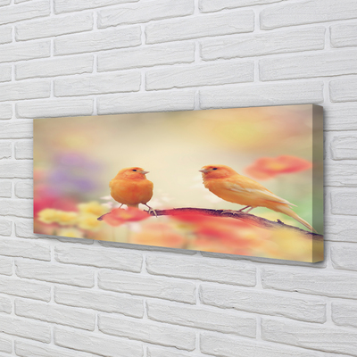 Obraz canvas na ścianę Stado Kolorowych Papug