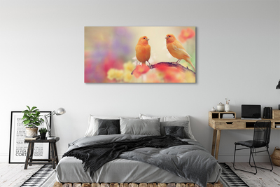 Obraz canvas na ścianę Stado Kolorowych Papug