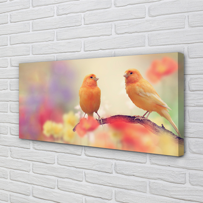 Obraz canvas na ścianę Stado Kolorowych Papug