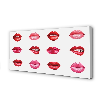 Obraz na płótnie Czerwień i Róż Ust