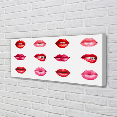 Obraz na płótnie Czerwień i Róż Ust