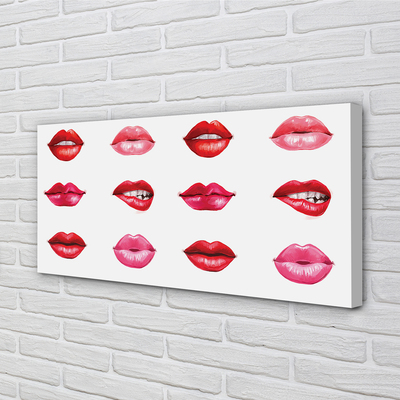 Obraz na płótnie Czerwień i Róż Ust