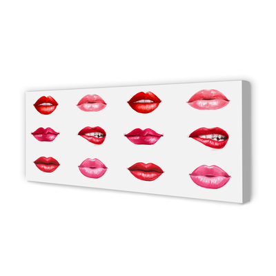 Obraz na płótnie Czerwień i Róż Ust