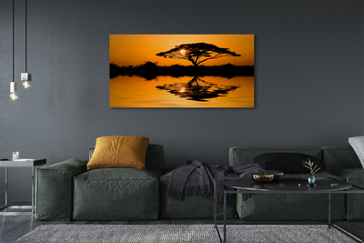 Obraz drukowany na płótnie Drzewo o Zachodzie Słońca
