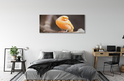 Obraz canvas na ścianę Papuga na Gałęzi