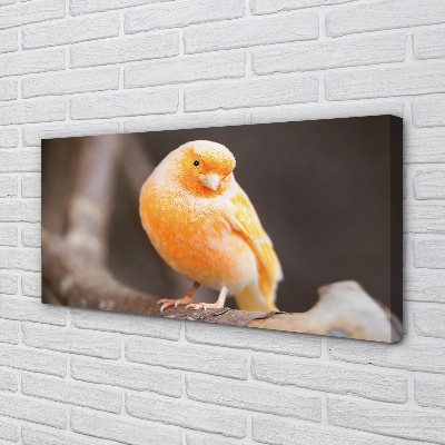 Obraz canvas na ścianę Papuga na Gałęzi