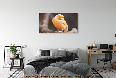 Obraz canvas na ścianę Papuga na Gałęzi