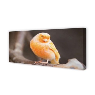 Obraz canvas na ścianę Papuga na Gałęzi